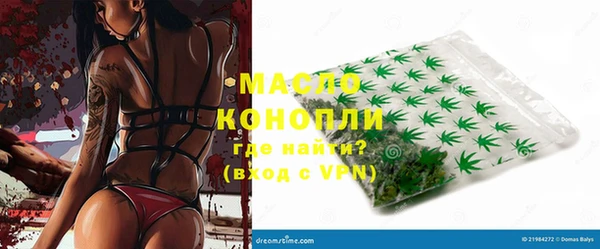 шишки Горно-Алтайск