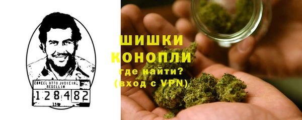 СК Горнозаводск