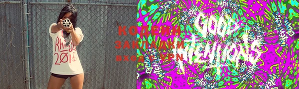 шишки Горно-Алтайск