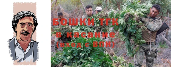 шишки Горно-Алтайск