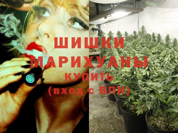 СК Горнозаводск
