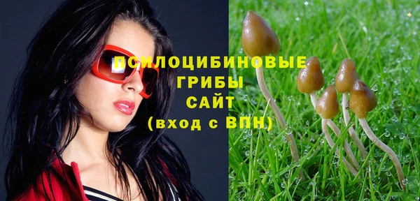 СК Горнозаводск