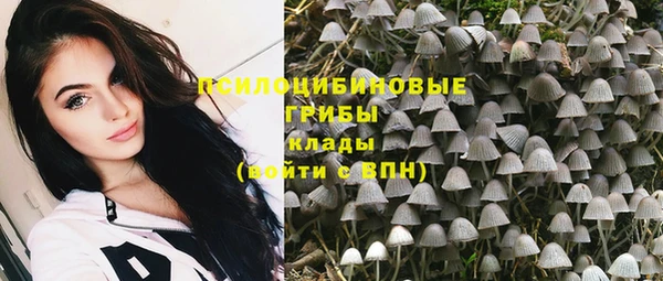 СК Горнозаводск