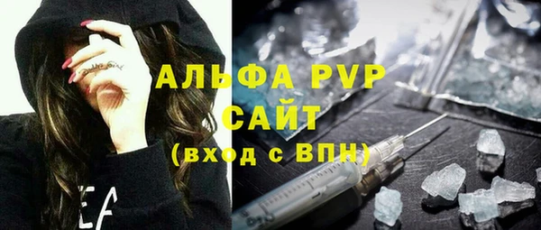 шишки Горно-Алтайск