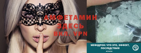 шишки Горно-Алтайск