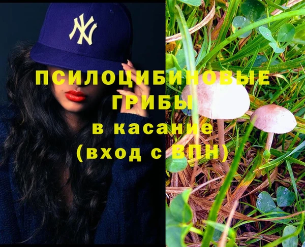 шишки Горно-Алтайск