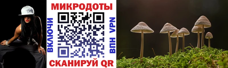 Псилоцибиновые грибы Magic Shrooms  Купить  Кыштым 